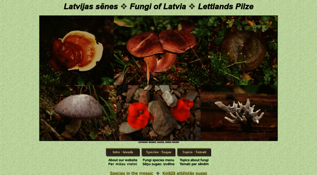 fungi.lv