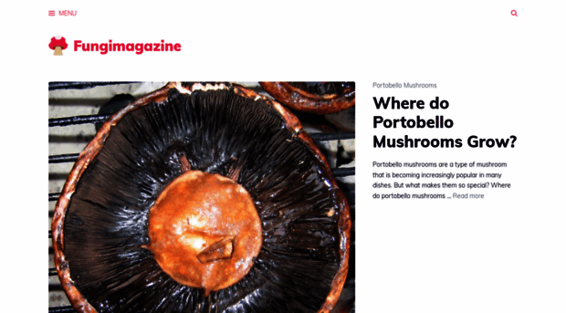 fungimagazine.com