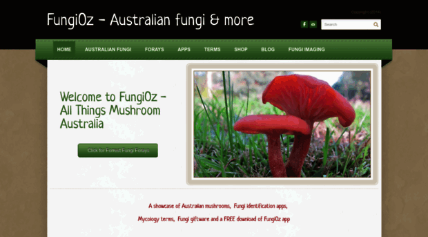 fungioz.com