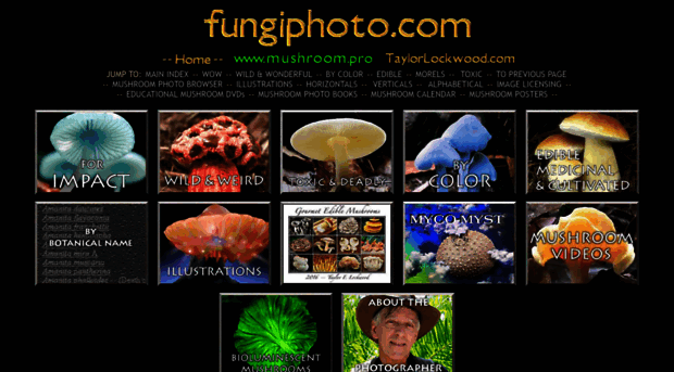 fungiphoto.com