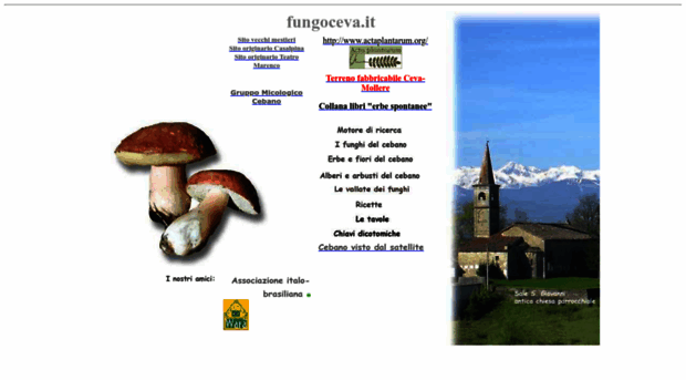 fungoceva.it