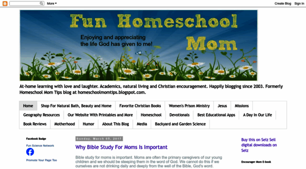 funhomeschoolmom.com