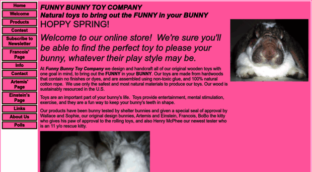 funnybunnytoyco.com