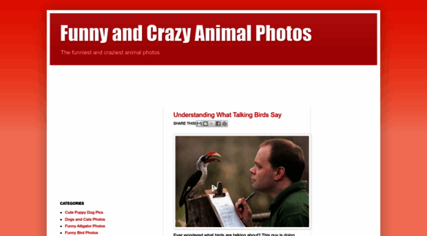 funnycrazyanimals.blogspot.com