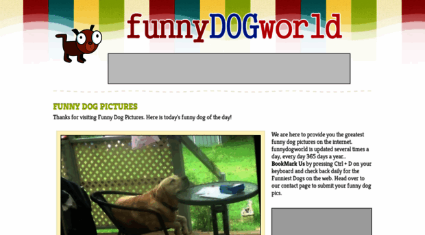 funnydogworld.com