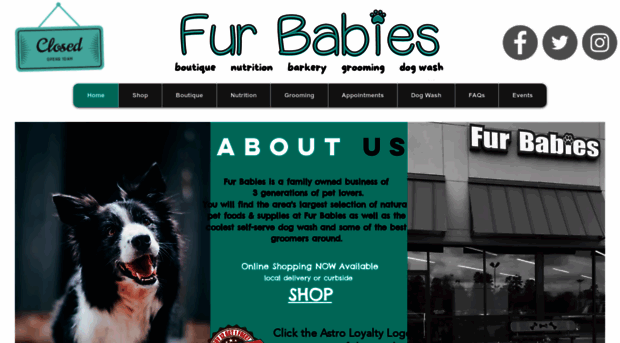 furbabieskingwood.com