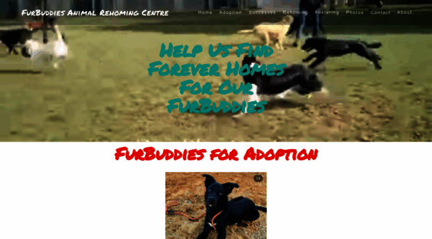 furbuddies.org