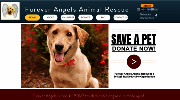 fureverangelsanimalrescue.com