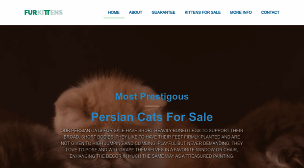 furkittens.com