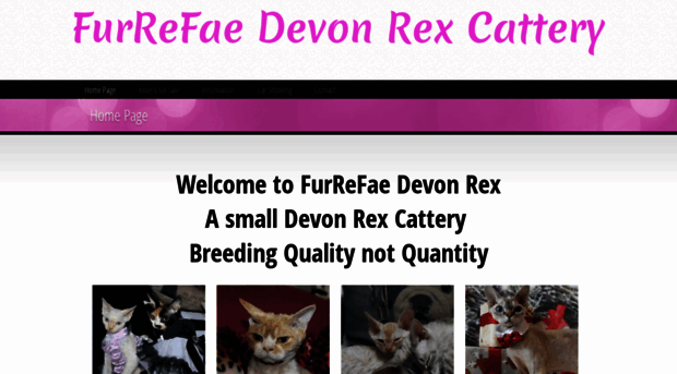 furrefaedevonrexcattery.com