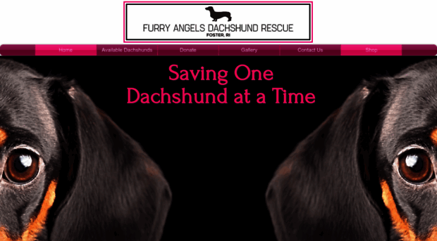 furryangelsdachshundrescue.com