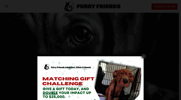 furryfriendsadoption.com