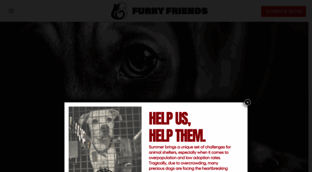 furryfriendsadoption.org