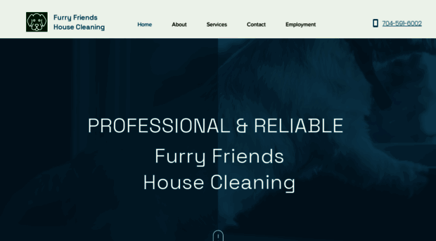 furryfriendsclean.com