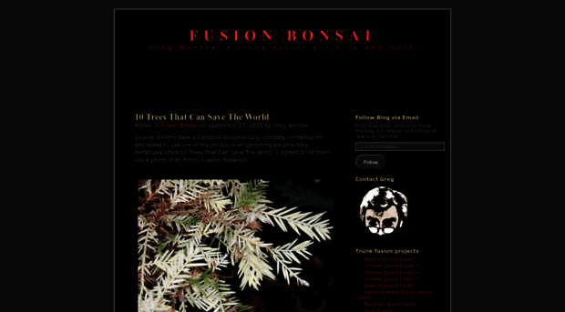 fusionbonsai.wordpress.com