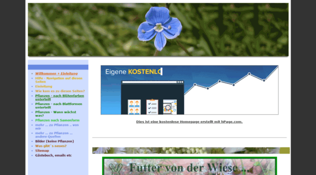 futtervonderwiese.npage.de