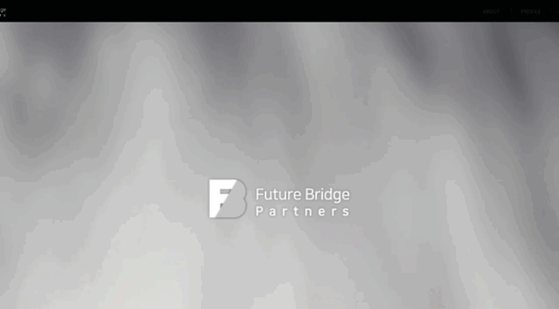 futurebridge-partners.com