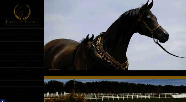 futurefarmsarabians.com