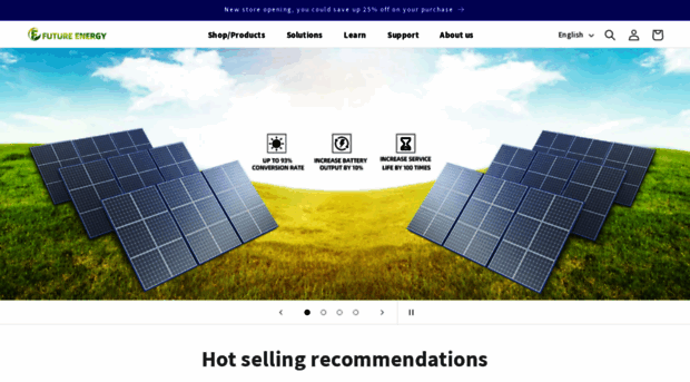 futurenergystore.com