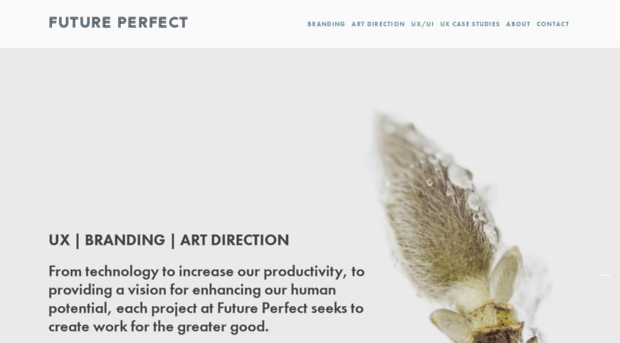 futureperfect.is