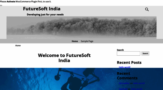 futuresoftindia.in