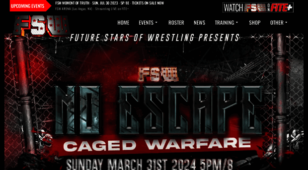 futurestarsofwrestling.com