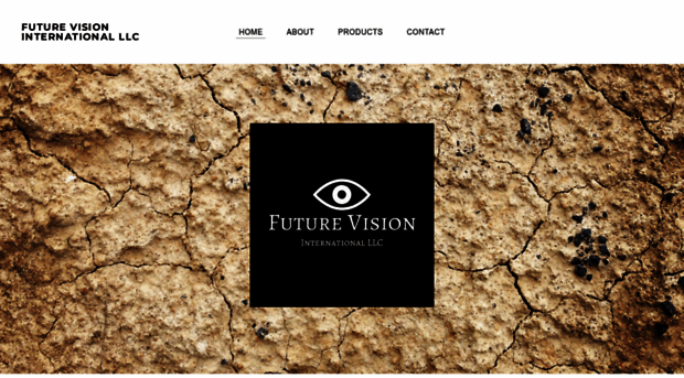 futurevisioninternational.weebly.com