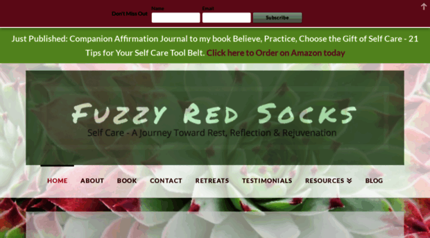 fuzzyredsocks.com