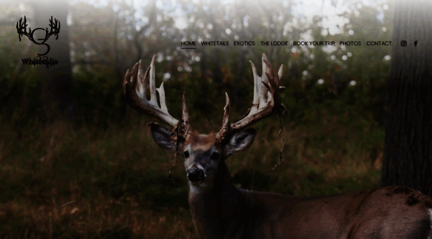 g3whitetails.com