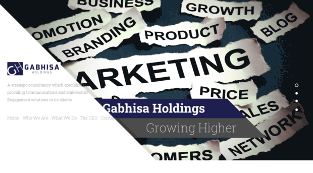 gabhisaholdings.com