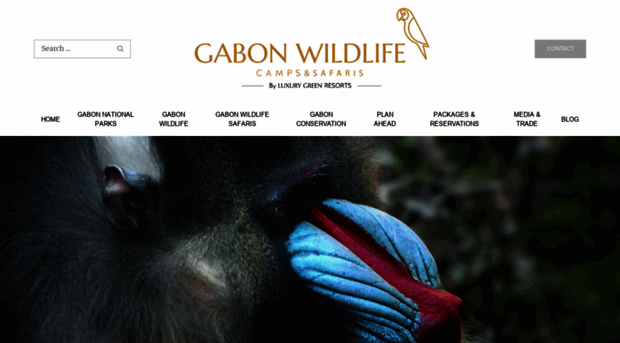 gabonwildlifecamps.com