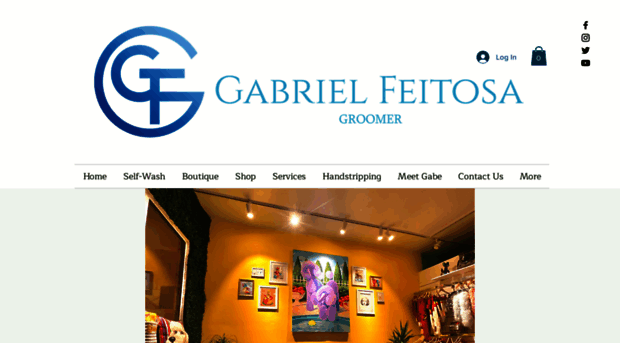 gabrielfeitosagroomer.com