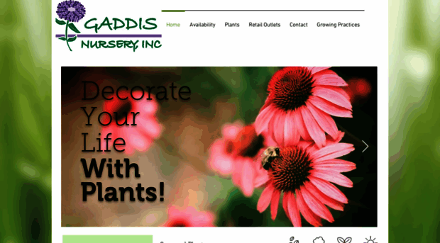 gaddisnursery.com