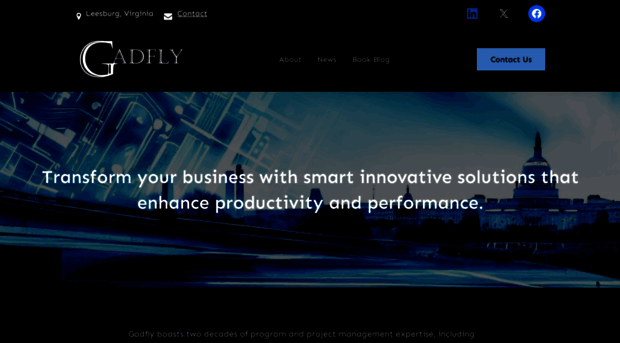 gadflyllc.com