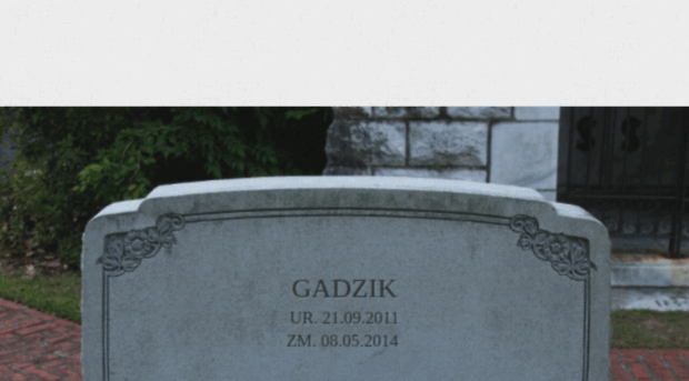 gadzik.pl