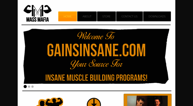 gainsinsane.com