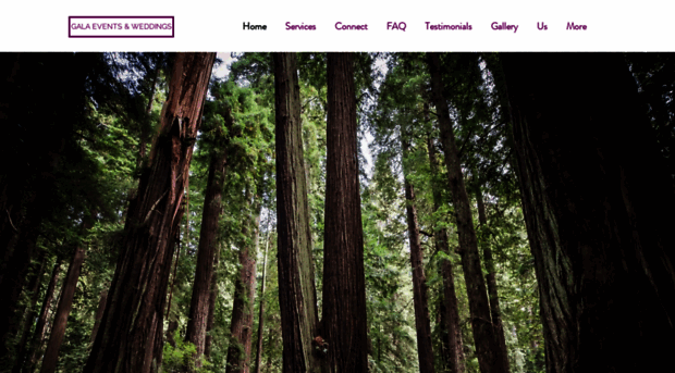 galaeventsandweddings.com