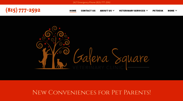 galenasquarevetclinic.com