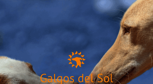 galgosdelsol.org