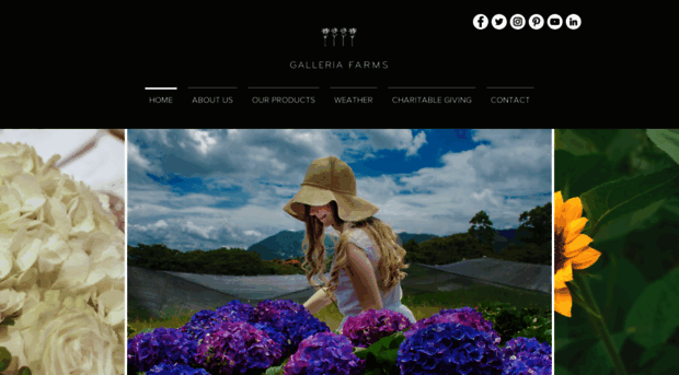 galleriafarms.com