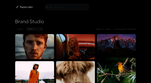 gallery.topazlabs.com