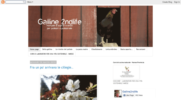 galline2ndlife.blogspot.it