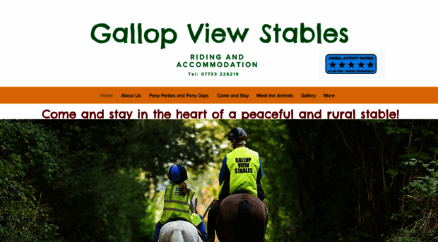 gallopview.com