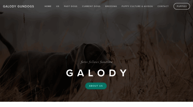 galodygundogs.com