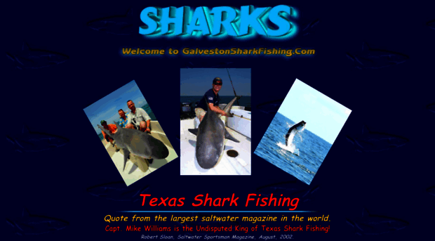 galvestonsharkfishing.com