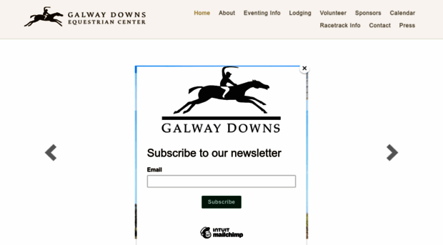 galwaydowns.net