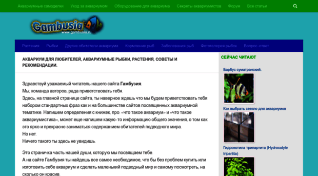 gambusia.ru