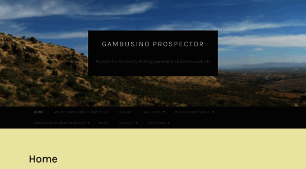 gambusinoprospector.com