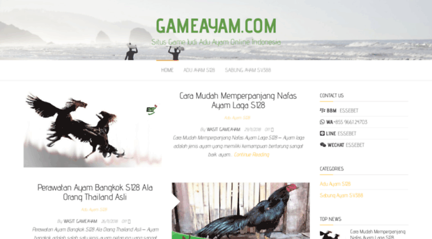 gameayam.com