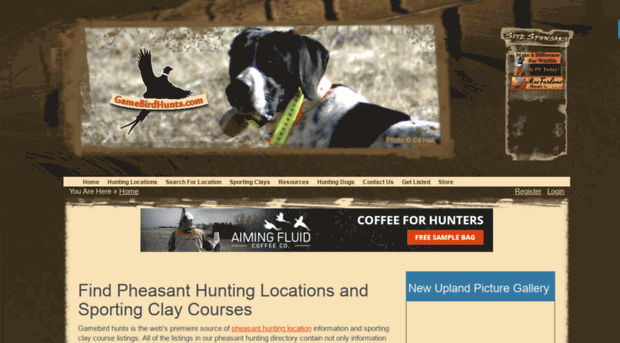 gamebirdhunts.com